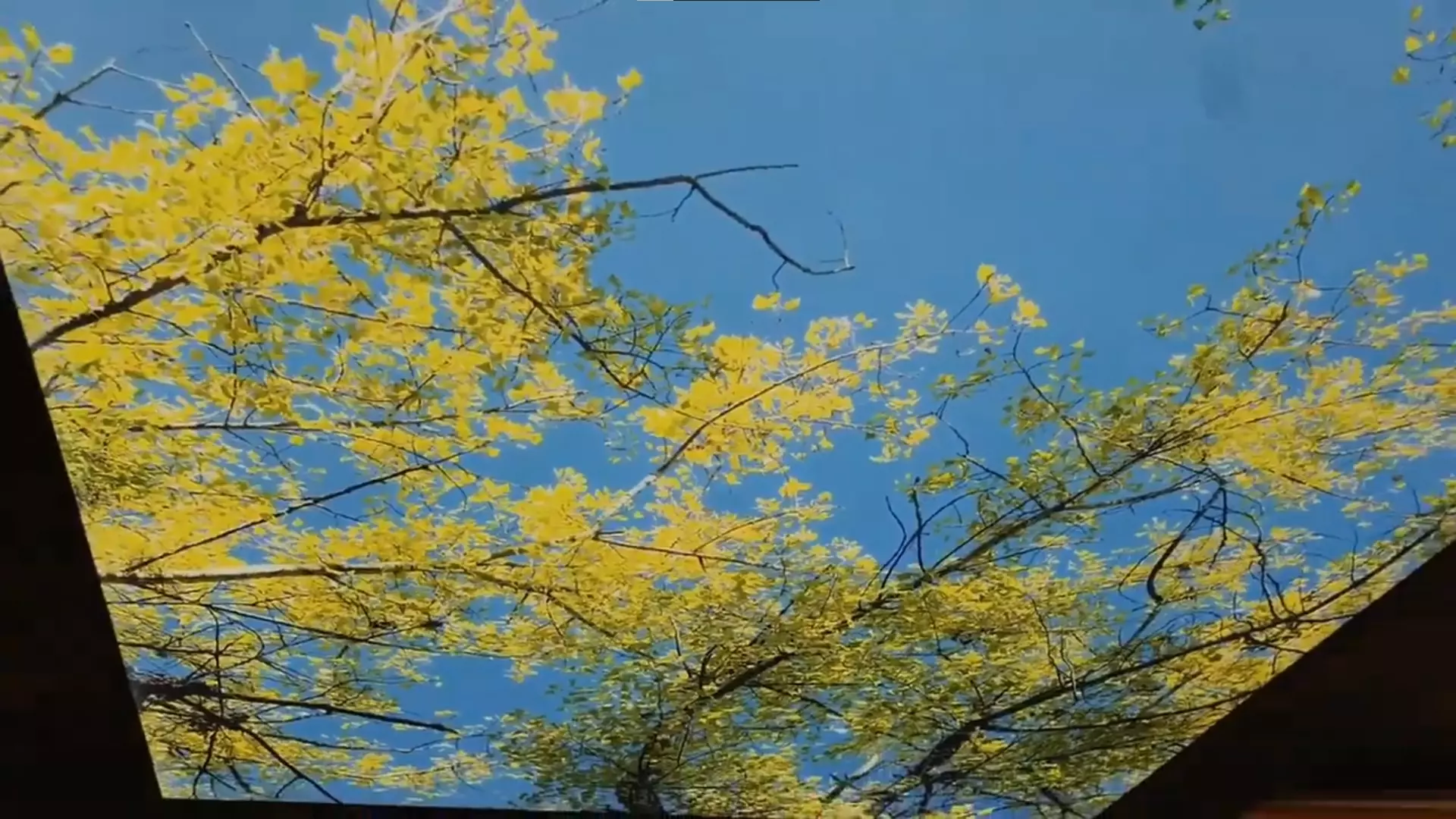 Братск, , фото 2